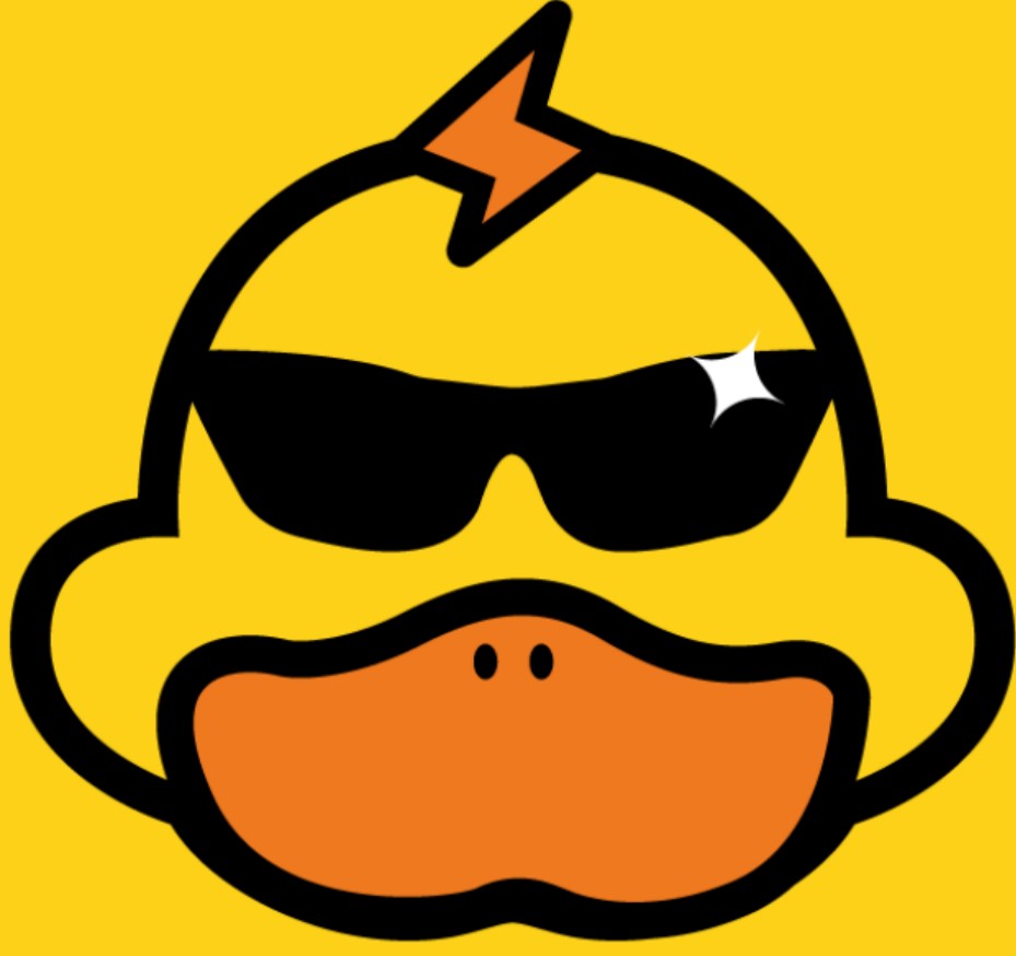 快鸭加速器vp官网